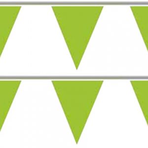 Bandeira Plástico Triângulo Verde Pistachio