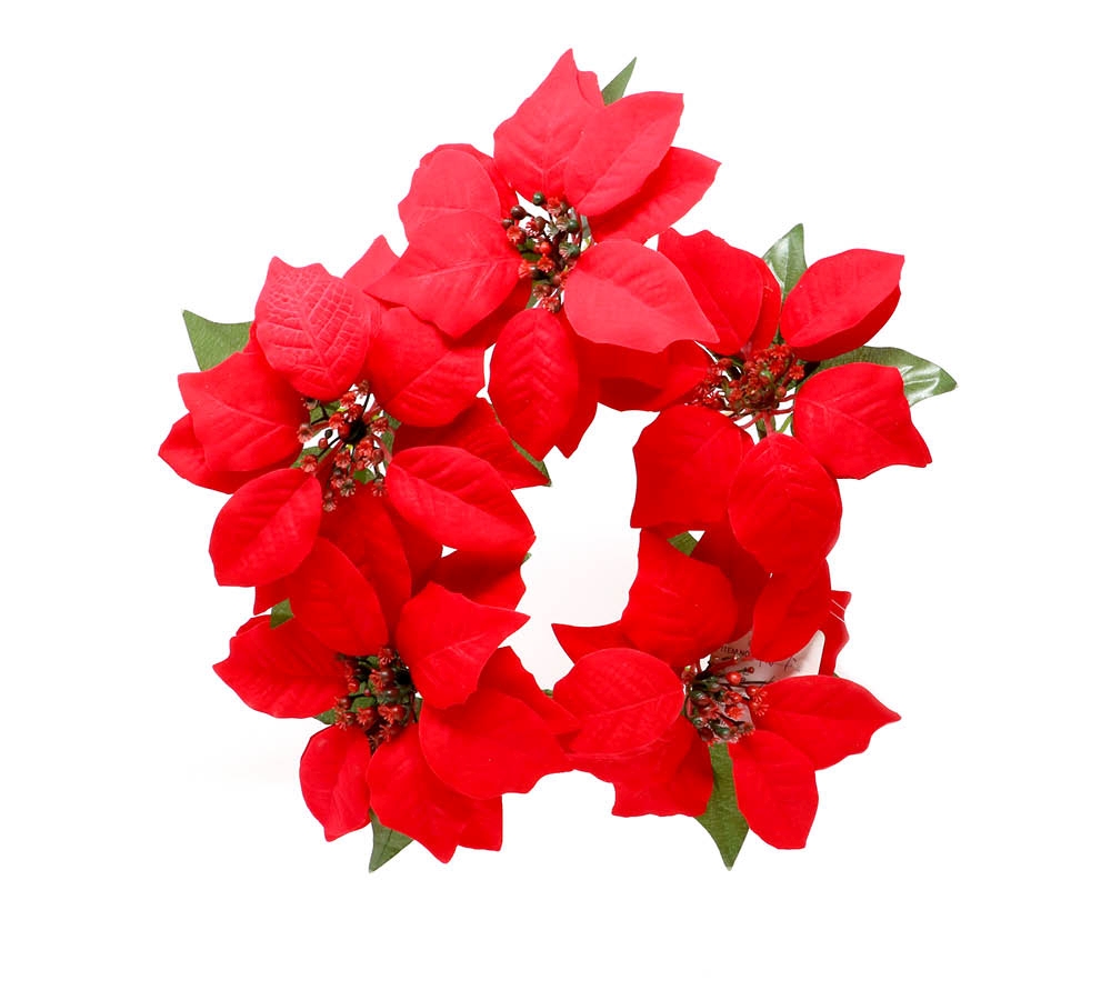 L25211 Centro 5 Flores Natal Poisentea 25cm