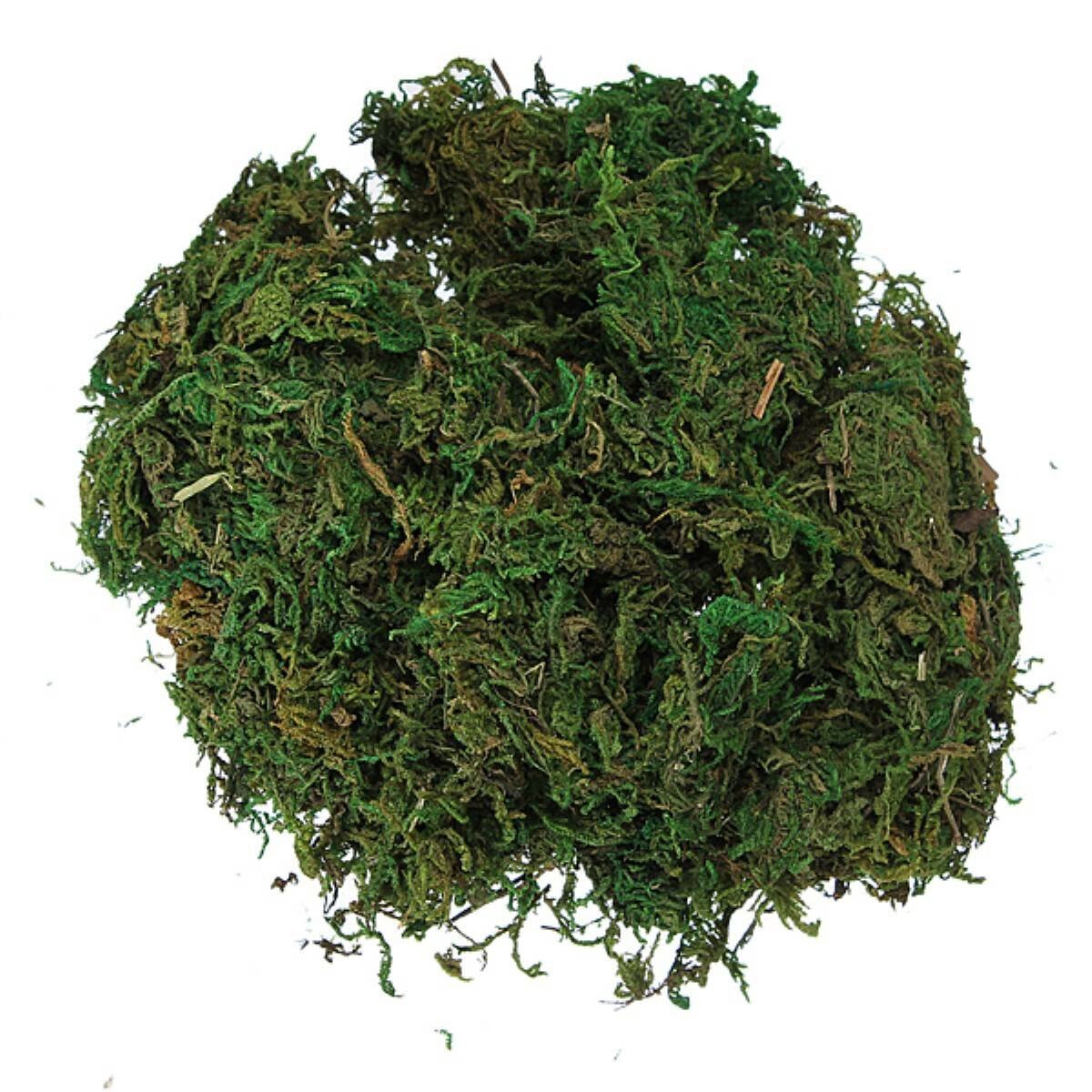 L62090 Musgo artificial Verde 100g
