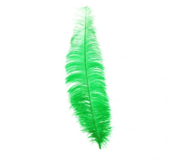 Pluma Avestruz Verde 40cm