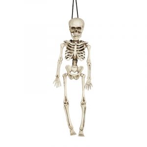 Esqueleto 40 cm