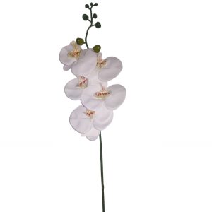 Ramo Verde Orquídea Branca 82