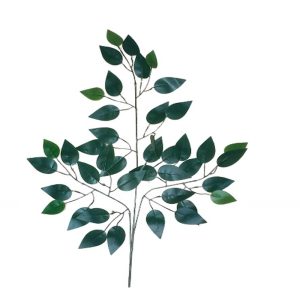 Ramo Verde 3 Galhos Ficus 61