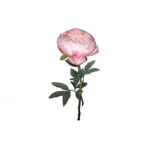 Ramo 1 Peónia Salmão 58