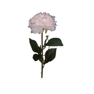 Ramo 1 Peónia Bege 58