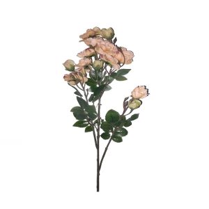 Ramo Rosinhas Santa Teresinha Laranja