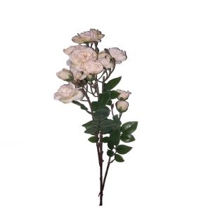 Ramo Rosinhas Santa Teresinha Salmão