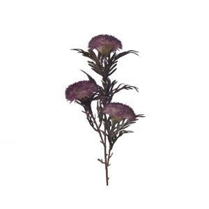 Ramo Castanho 3 Banksia Bordeaux 18
