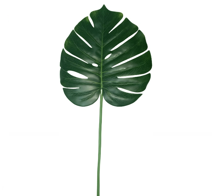 BF87279_1 Folha Tropical Verde Monstera 71
