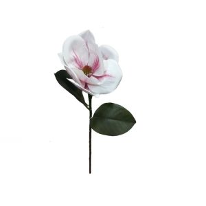 Flor Magnolia Rosa