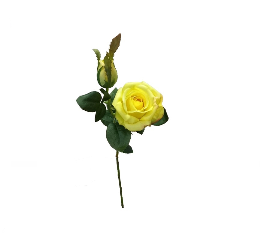 BF97645 Flor Rosa Amarela com Botão