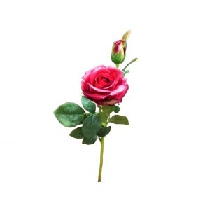 Flor Rosa Vermelha com Botão