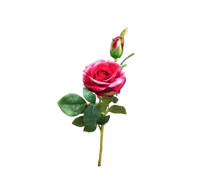 BF97646 Flor Rosa Vermelha com Botão