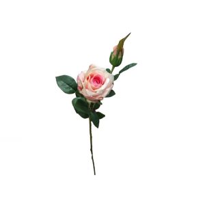 Flor Rosa Rosa com Botão