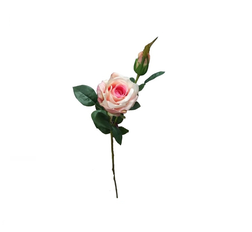 BF97647 Flor Rosa Rosa com Botão