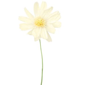 Flor Papel Crepe Branco com pé