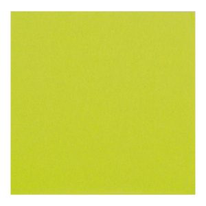 Guardanapos Papel Verde Lima