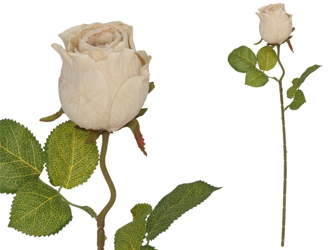 BF20817 Flor Rosa Creme Seco