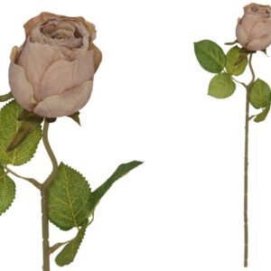 Flor Rosa Velho Seco