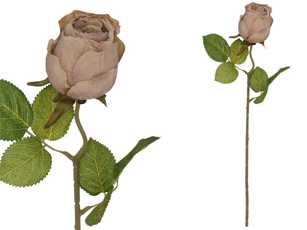 BF20819 Flor Rosa Velho Seco