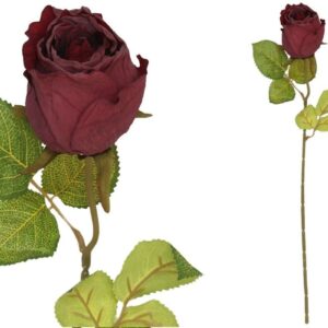 Flor Rosa Vermelho Seco