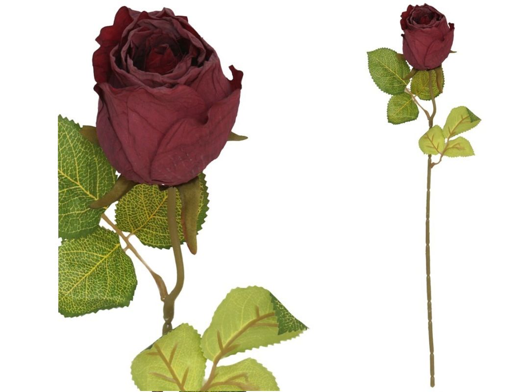 BF20820 Flor Rosa Vermelho Seco