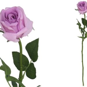 Flor Rosa Violeta