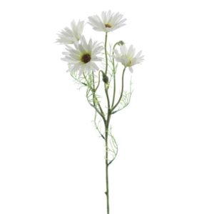 Flor Margarida Branca 62