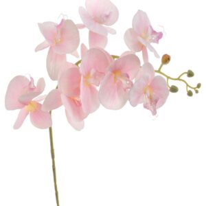 Flor Orquídea Rosa Claro 90
