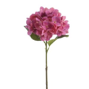 Flor Hortensia Fucsia