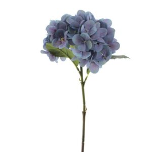 Flor Hortensia Azul