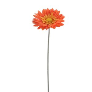 Flor Gerbera Laranja