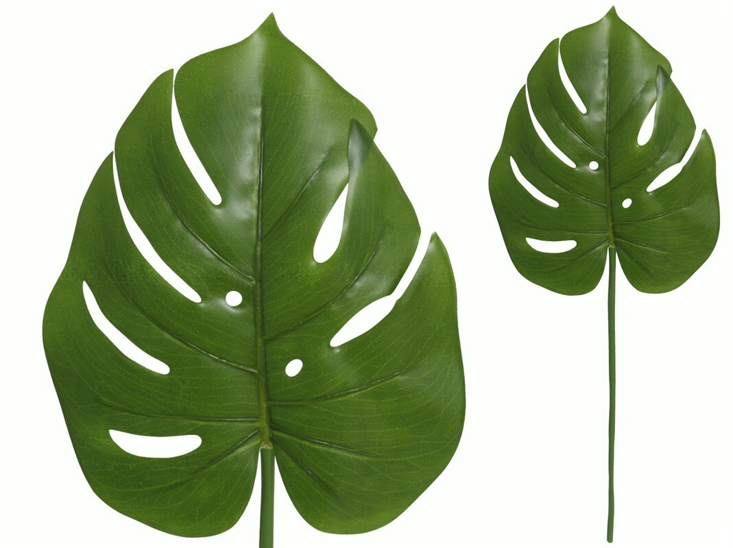 BF50007 Folha Tropical Verde Monstera 80