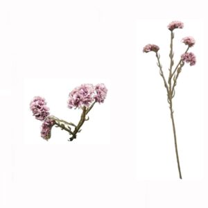 Flor Statis Purpura 64