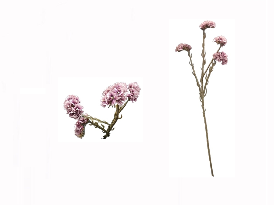 BF52359 Flor Statis Purpura 64