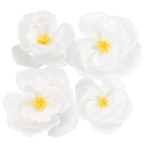 Flores Papel Crepe Branco 35 e 25