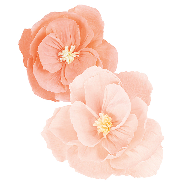 B407.60 Flores Papel Crepe Rosa e Rosa Claro 40 e 50
