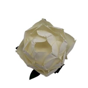 Forma Papel Flôr Branco Velho